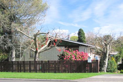 Photo of property in 229 Ohauiti Road, Ohauiti, Tauranga, 3112