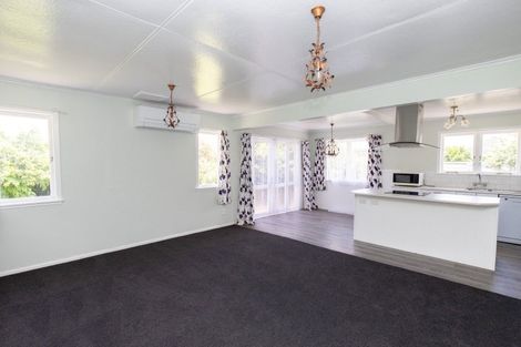 Photo of property in 21 Hayward Road, Ngatea, 3503