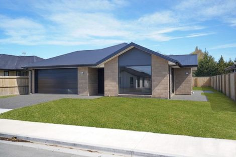 Photo of property in 31 Minerva Crescent, Woodend, 7610