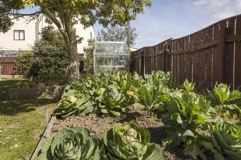 Photo of property in 16 Dunsinane Place, Marton, 4710