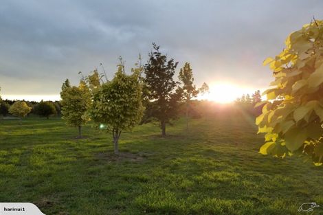 Photo of property in 123 Racecourse Road, Amberley, 7482