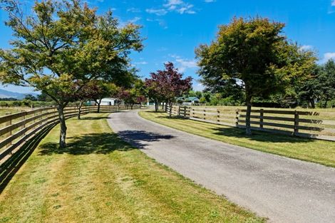 Photo of property in 574 Nicholson Road, Ngakuru, Rotorua, 3077