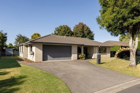 Photo of property in 113 Chater Avenue, Bethlehem, Tauranga, 3110