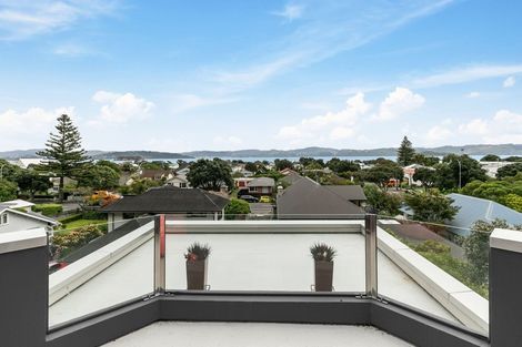 Photo of property in 203 Muritai Road, Eastbourne, Lower Hutt, 5013