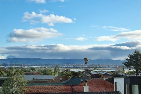 Photo of property in 28e Walker Road, Point Chevalier, Auckland, 1022