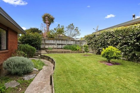 Photo of property in 8 Ledger Close, Richmond, 7020