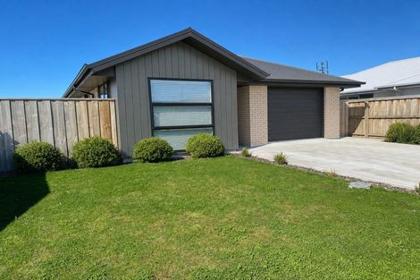 Photo of property in 16 Higgins Street, Woodend, 7610