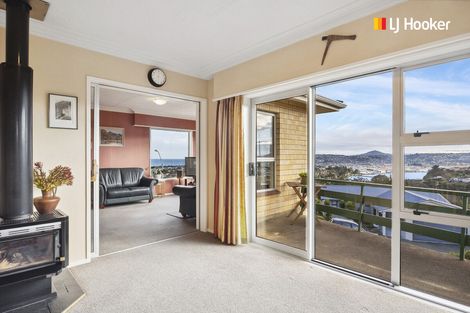 Photo of property in 24 Elliffe Place, Shiel Hill, Dunedin, 9013