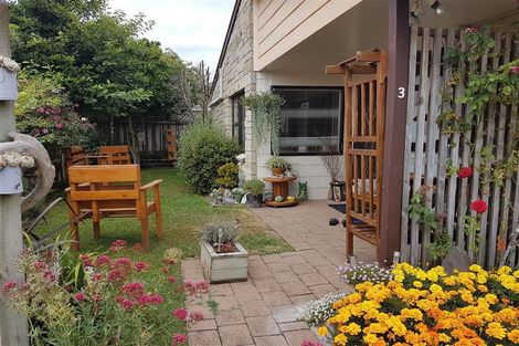 Photo of property in 3/12 Buchanan Street, Matamata, 3400