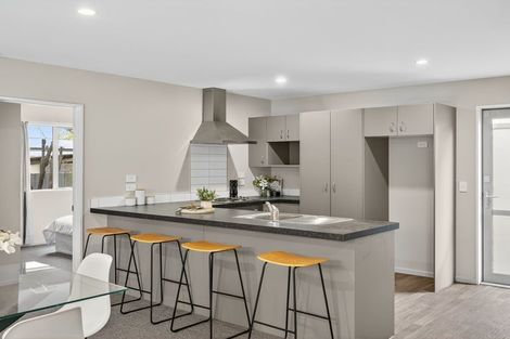 Photo of property in 117a Ruskin Street, Addington, Christchurch, 8024