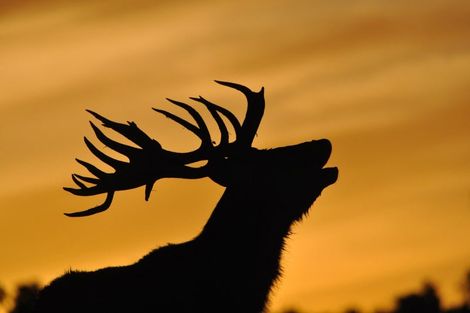 Photo of property in 2171 Parikanapa Road, Tiniroto, Manutuke, 4078