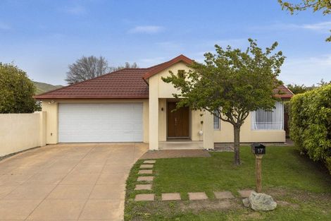 Photo of property in 17 Kendon Street, Witherlea, Blenheim, 7201