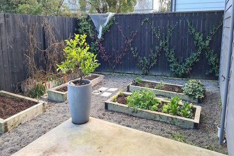 Photo of property in 8a Michael Street, Kuripuni, Masterton, 5810