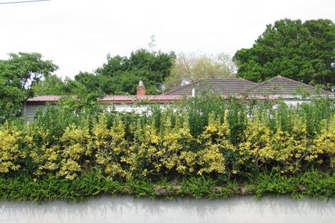 Photo of property in 244 Whitney Street, Blockhouse Bay, Auckland, 0600