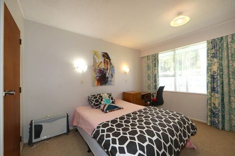 Photo of property in 220a Wolseley Street, Mayfair, Hastings, 4122