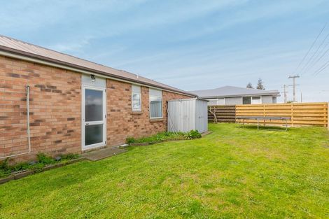 Photo of property in 25b Kentia Avenue, Mount Maunganui, 3116