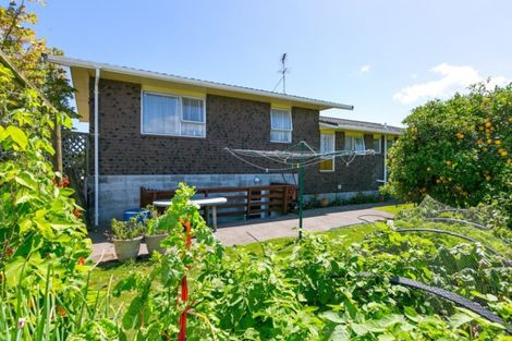Photo of property in 20 Leon Place, Waitara, 4320