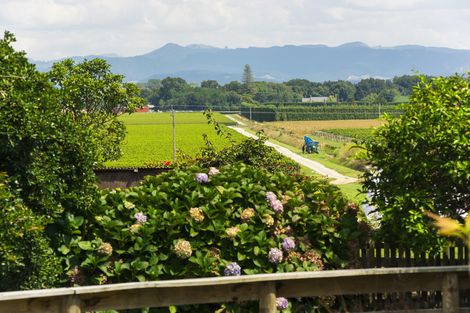 Photo of property in 102a Kawatiri Road, Makauri, Gisborne, 4071