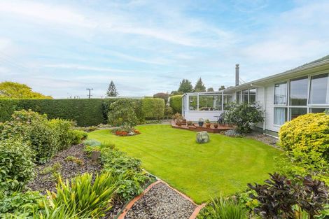 Photo of property in 75 Elizabeth Street, Waikanae, 5036