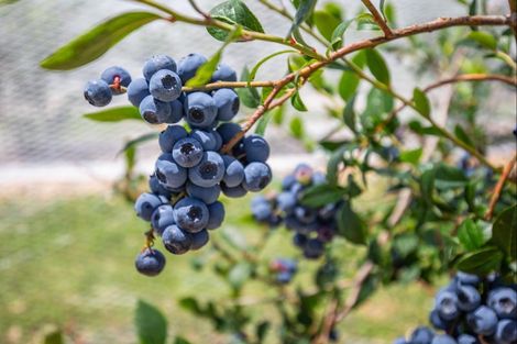 Photo of property in 85 Papaitonga Lake Road, Ohau, 5570