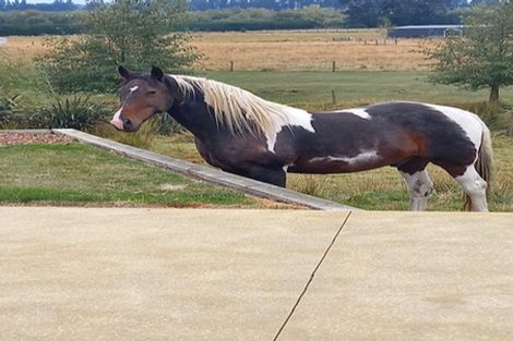 Photo of property in 560 Ashley Road, Starvation Hill, Rangiora, 7471
