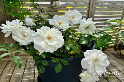 Photo of property in 1 Manaaki Circle, Paparoa, 0571