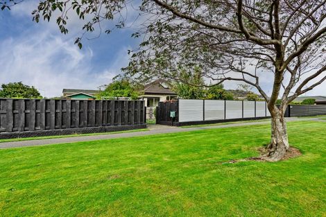 Photo of property in 171 Chelmsford Street, Windsor, Invercargill, 9810