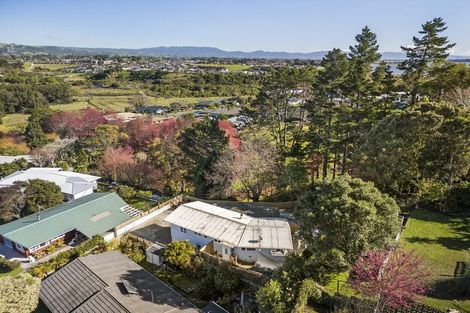 Photo of property in 11 Graham Place, Bellevue, Tauranga, 3110