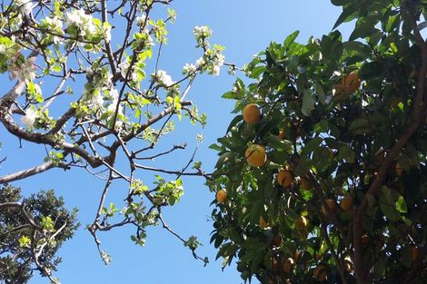 Photo of property in 64 Dale Road, Raumati South, Paraparaumu, 5032