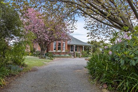 Photo of property in 90 Shearman Street, Waimate, 7924