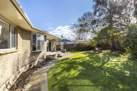 Photo of property in 3 Leefield Street, Blenheim, 7201