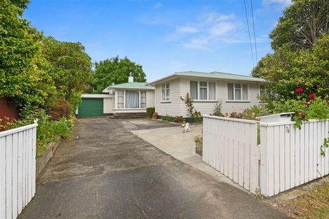 Photo of property in 76 Queen Street West, Levin, 5510
