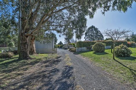 Photo of property in 201 Karanga Road, Dunsandel, Leeston, 7682