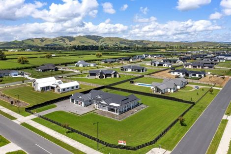 Photo of property in 24 Catalyst Avenue, Leamington, Cambridge, 3432