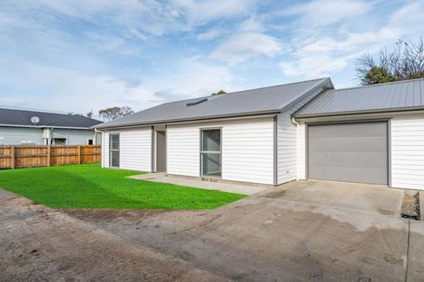 Photo of property in 162a Colombo Road, Masterton, 5810