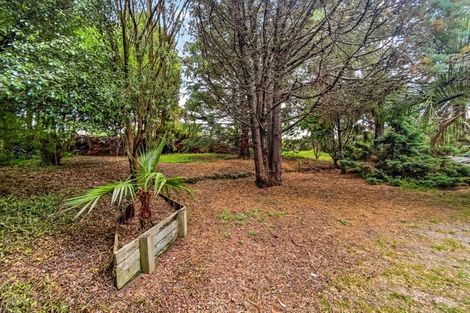 Photo of property in 77 King Street, Hikurangi, 0114