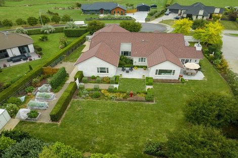 Photo of property in 16 Shadbolt Drive, Leamington, Cambridge, 3432