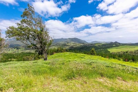 Photo of property in 183 Koutu Loop Road, Whirinaki, 0473