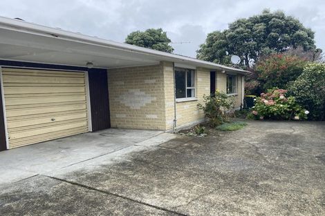 Photo of property in 38a Mahoe Street, Hutt Central, Lower Hutt, 5010