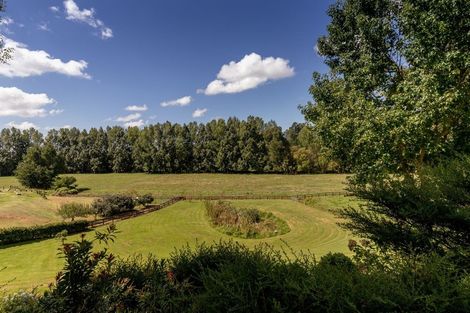 Photo of property in 195 Oropi Road, Oropi, Tauranga, 3173