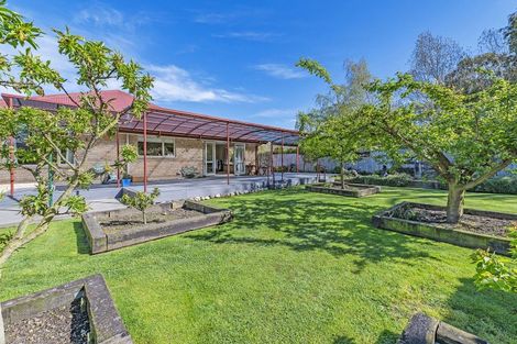 Photo of property in 1 Mill Road, Leithfield, Amberley, 7481