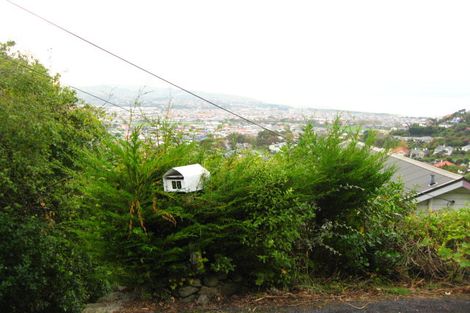 Photo of property in 51 Morrison Street, Caversham, Dunedin, 9012