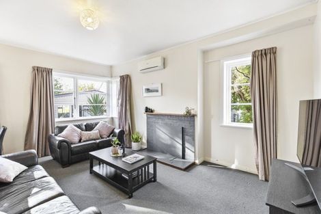 Photo of property in 54 Savage Crescent, West End, Palmerston North, 4412