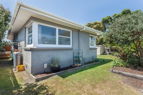 Photo of property in 56 Concord Avenue, Mount Maunganui, 3116