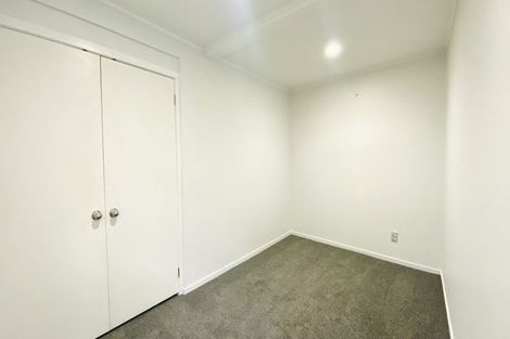 Photo of property in 26 Buchanan Street, Kingsland, Auckland, 1021