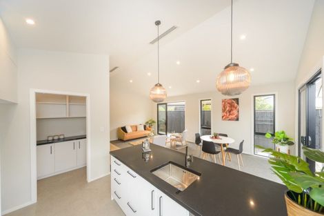 Photo of property in 25a Te Awe Awe Street, Hokowhitu, Palmerston North, 4410