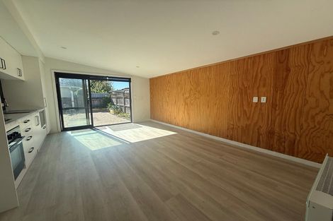 Photo of property in 18 D'arcy Street, Richmond, 7020