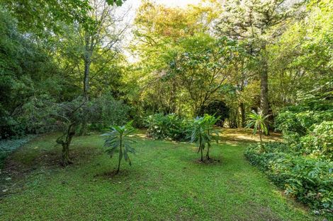 Photo of property in 58 Celia Street, Stratford, 4332