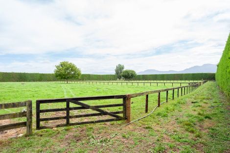 Photo of property in 1503 Alexandra Road, Waharoa, 3474