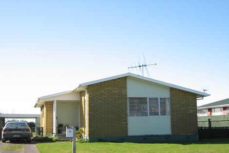 Photo of property in 17 Fergusson Street, Marton, 4710